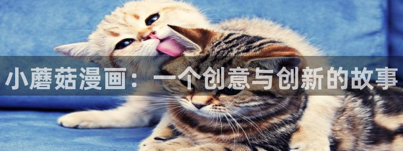 奇漫屋免费漫画看：小蘑菇漫画：一个创意与创新的故事