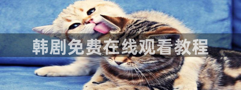 怪奇杂货店漫画免费下拉式奇漫屋：韩剧免费在线观看教程