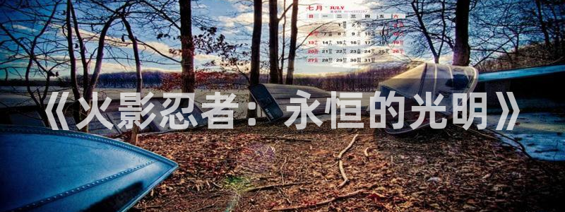 疯狂之旅漫画下拉式奇漫屋：《火影忍者：永恒的光明》