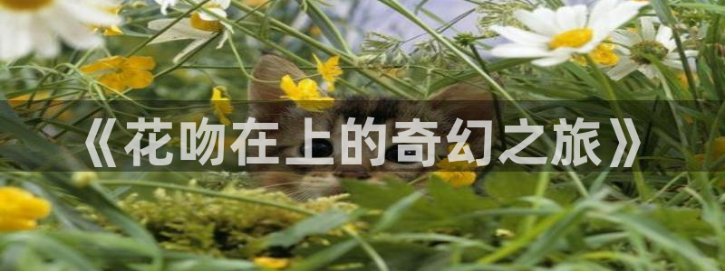 仙王的日常生活漫画奇漫屋下拉式：《花吻在上的奇幻之旅》